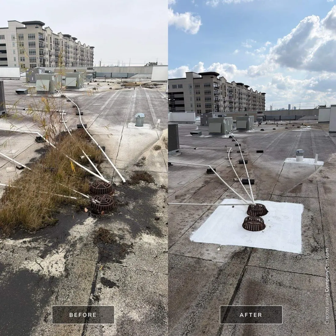 Before and after of two roof drains on a low-slope commercial roof, first with a small tree and grass growing out of them, then cleared and set in a square of white coating, with a mid-rise building behind